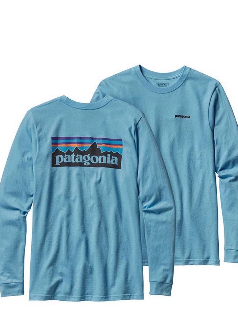 Patagonia Long-Sleeve Logo Tee size L — Blue